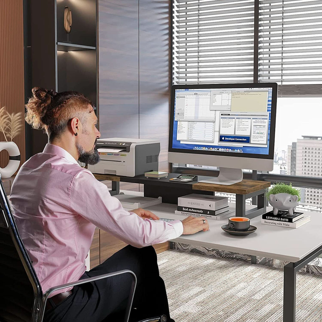 Dual Monitor Riser